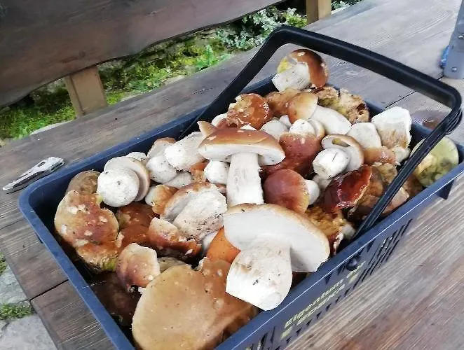 Hébergement de vacances Venda Lipno nad Vltavou